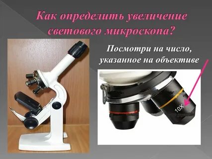 Какое общее увеличение дает