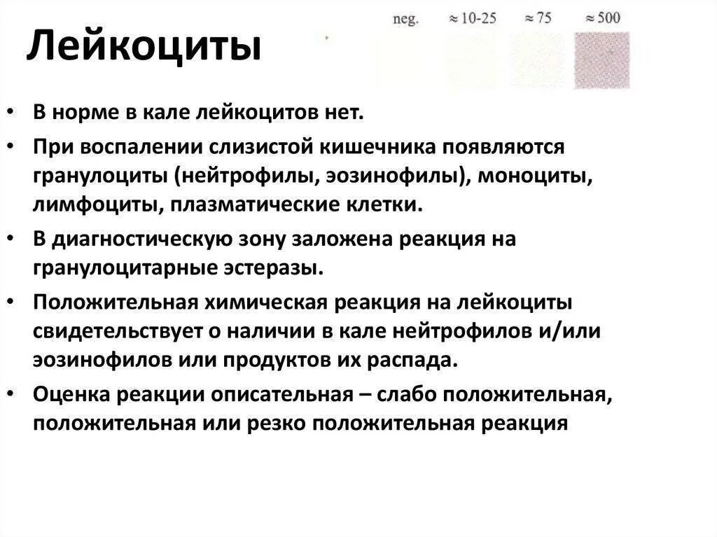 Норма лейкоцитов в Кале у ребенка 2 года. Норма лейкоцитов в Кале у ребенка 1 год. Лейкоциты в Кале повышены. Лейкоциты в Кале у ребенка норма. Реакция на лейкоциты положительная