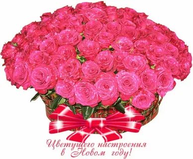 Поздравления красивые букеты