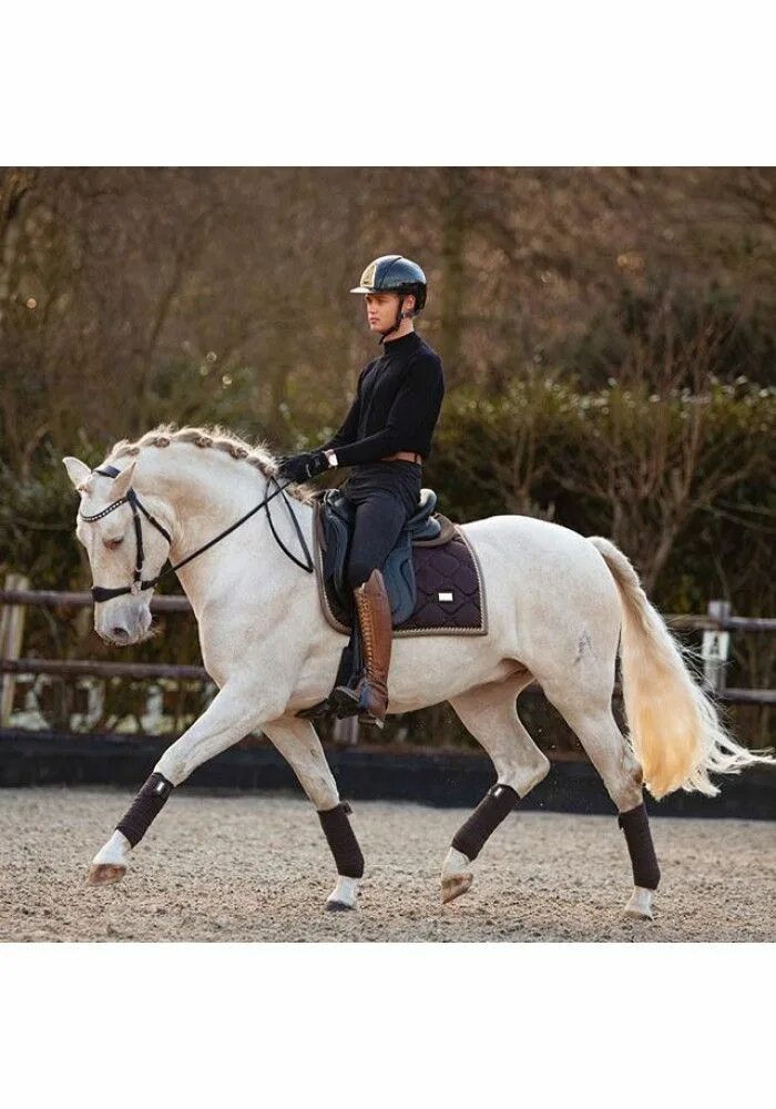 Всадник. Высокий всадник. Лошадь на дыбах. Седло swd. Высокий всадник.