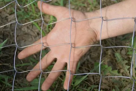 Сетка из лески