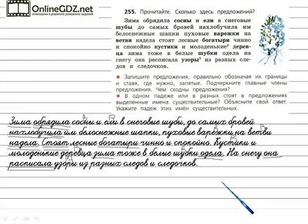 Зима обрядила сосны