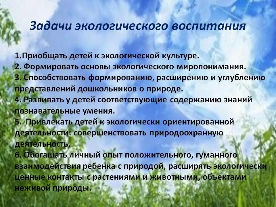 Экологическое воспитание результат. Задачи по экологическому воспитанию. Задачи экологического воспитания. Задачи по экологическому воспитанию в ДОУ. Воспитательные экологические задачи.