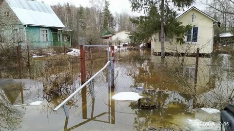 Погода во фрязево снт мечта 2