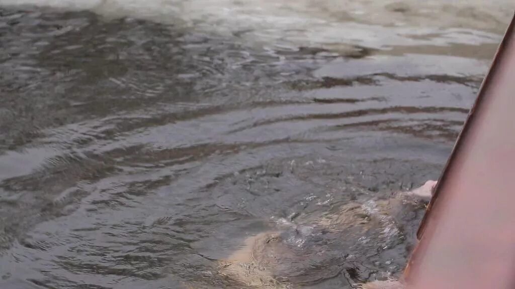 Приснилась мутная вода. Мутная вода. Снится грязь грязная вода. Спав загрязняет воду.