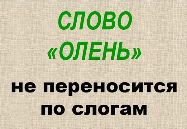 Слово пальто по слогам. Перенести слово олень. Олень разделить на слоги. Разделить слово олень на слоги. Олень по слогам для переноса.