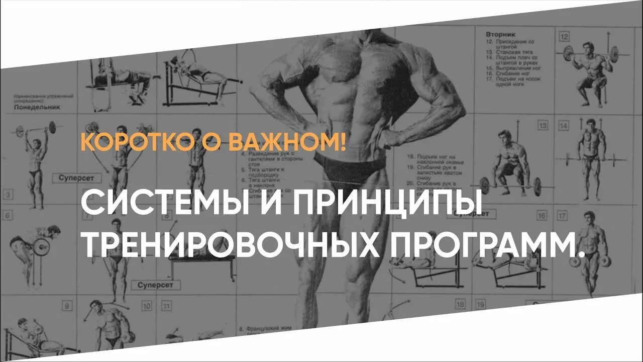 Принципы тренировочных программ. Система тренировок вейдера. тренировочные принципы. система джо вейдера программа тренировок. власов принципы тренировок.