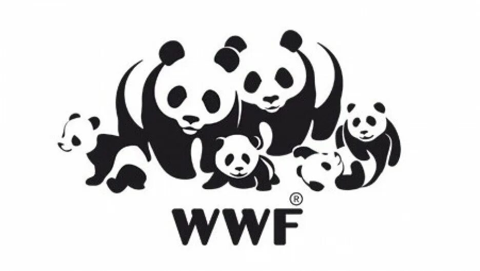 Всемирный фонд дикой природы. Всемирный фонд дикой природы WWF. Всемирный фонд дикой природы WWF эмблема. Панда символ Всемирного фонда дикой природы. Эмблема Панда WWF.