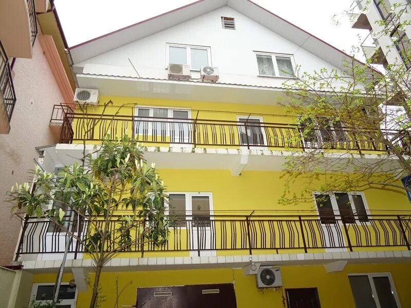 Адлер ул просвещения гостевые дома. Алена, отель -* сочи (адлер / хоста). Адлер ул просвещения дом 173а. Адлер просвещения 168. Адлер гостевой дом дом с дельфинами ул просвещения.