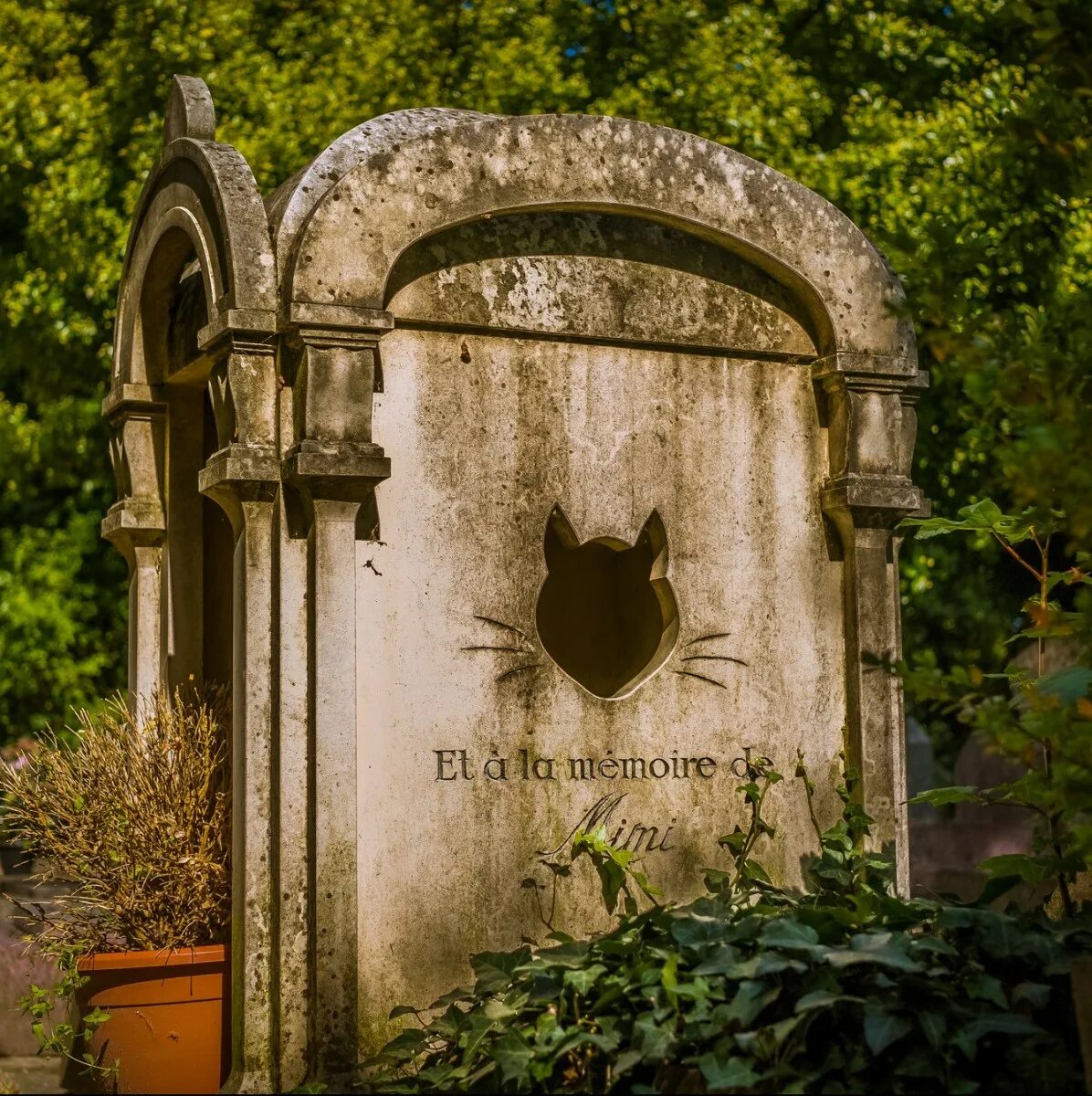 Pet cemetery. Кладбище Монпарнас Париж. Кладбище животных в Париже. Кладбище домашних животных в Париже. Кладбище собак в Париже.