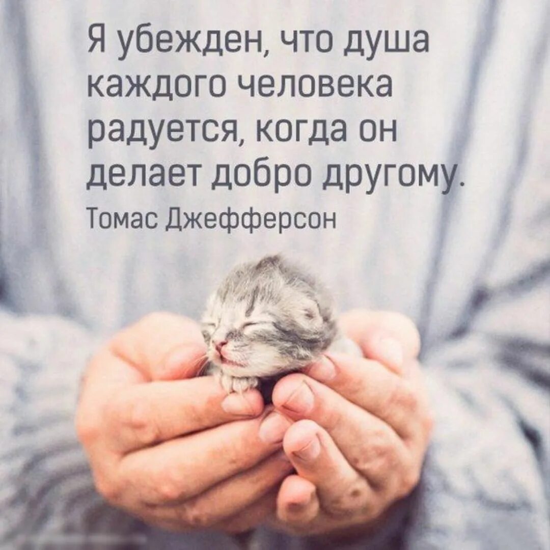 Добро цитаты. Цитаты про добро. доброта цитаты. высказывания о добре. добрые цитаты.