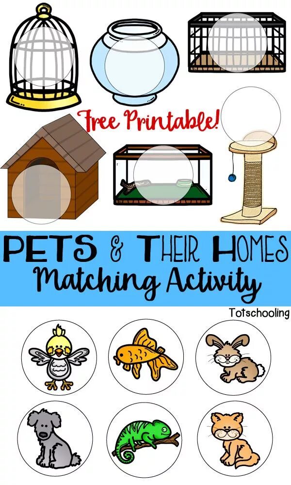 Pets задания. My Pet интересные задания. Задания для детей по теме Pets. Pets Worksheets for Kids.
