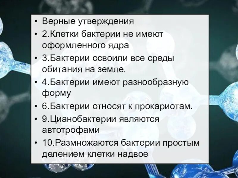 Верное утверждение о бактериях