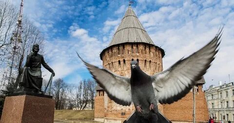 Г смоленск отзывы