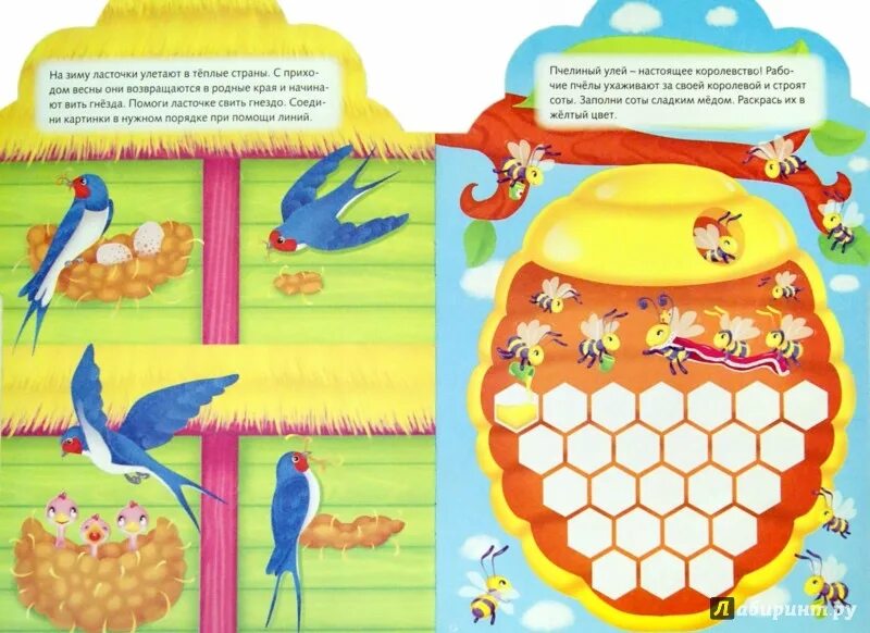 Команда влада а4. Где а 4 играй. Паспорт влада а4. Где а 4 играй. Где а 4 играй.