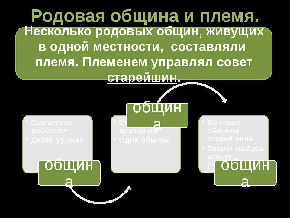 Роду племени значение