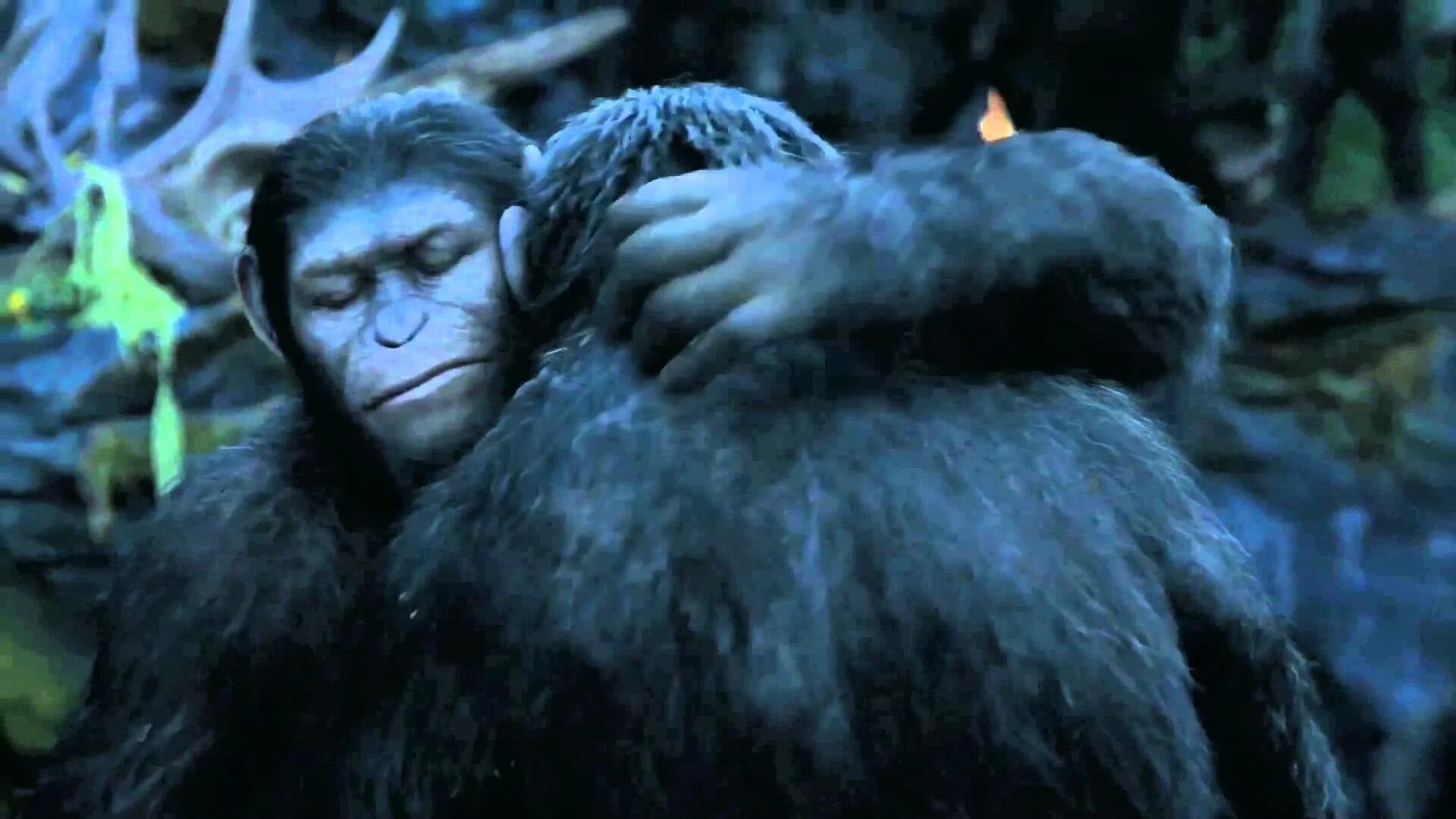 Caesar planet of the apes. Dawn of the planet of the apes caesar. koba planet of the apes.