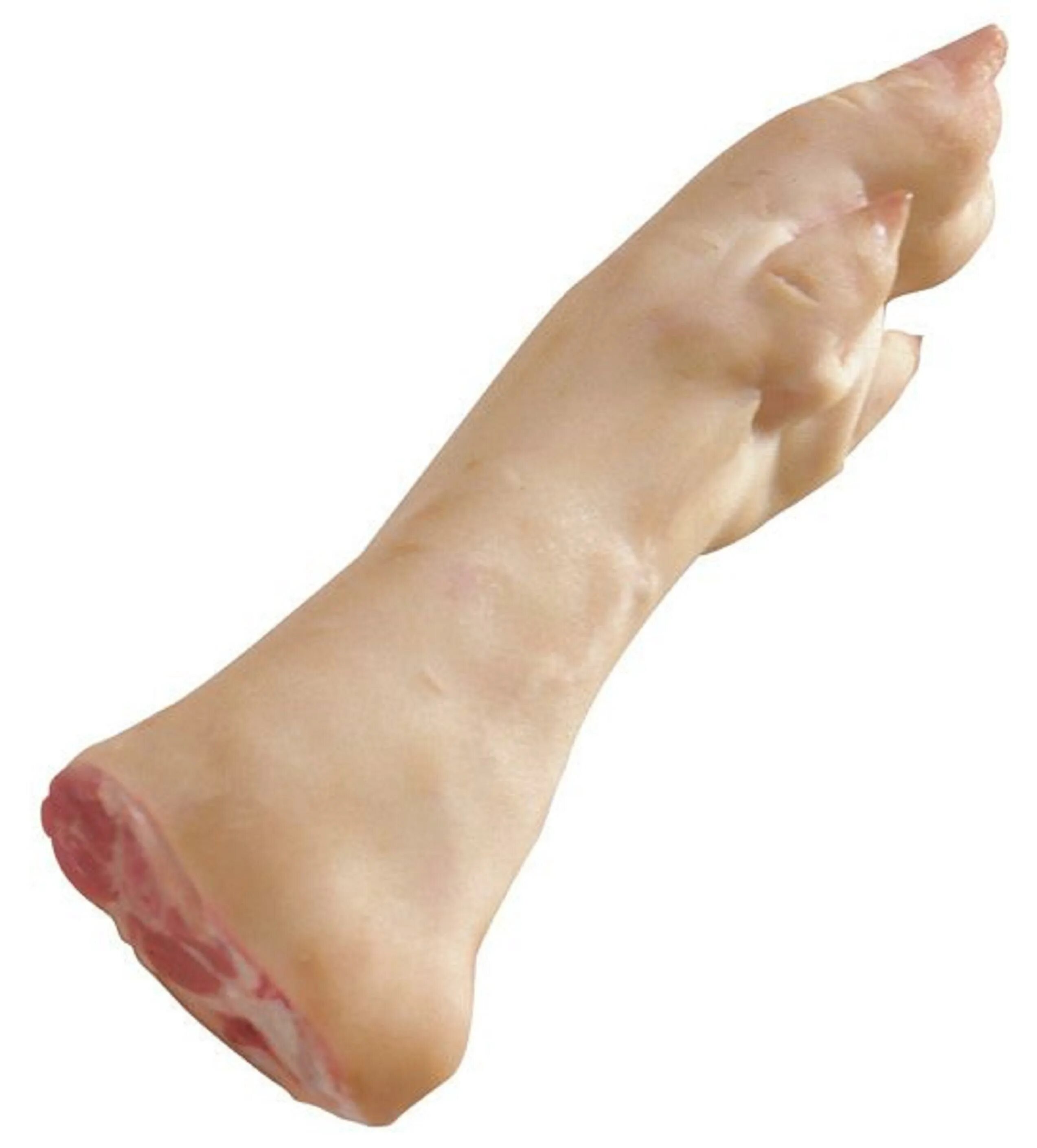 Ноги свинки