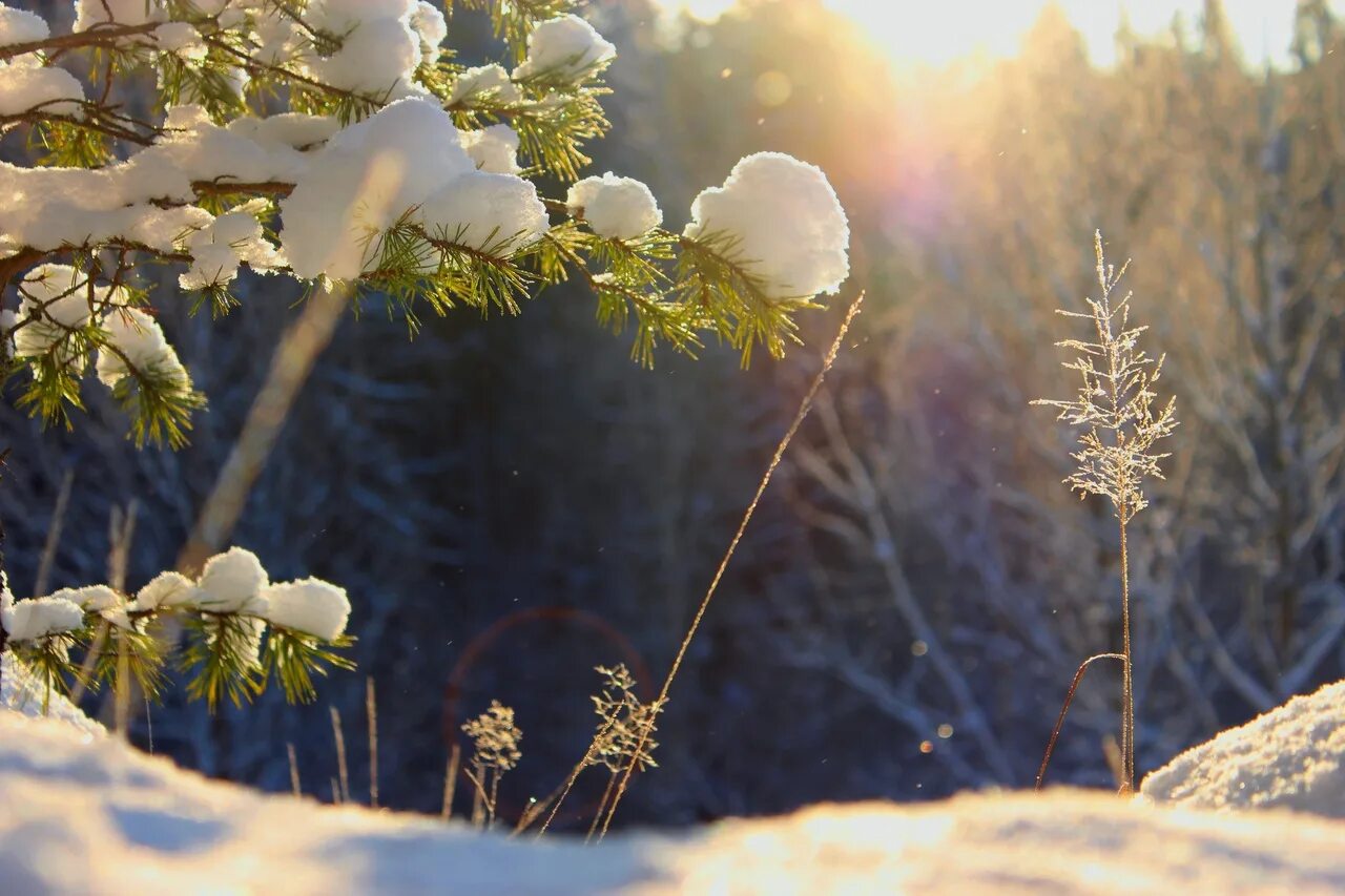 Потепление в январе. Декабрь природа. Февраль природа. Солнечный зимний день. Снег и солнце.