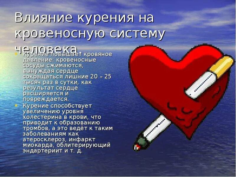 Как влияет курение табака на кровеносную систему. Влияние курения на кровеносную систему человека. влияние никотина на кровеносную систему. влияние табакокурения на кровеносную систему. воздействие курения на кровеносную систему.
