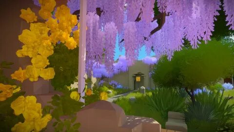The witness