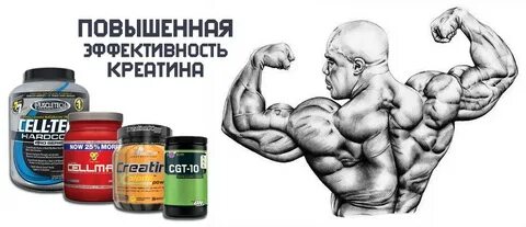 Как работает креатин