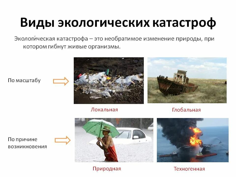 Техногенные биологические природные