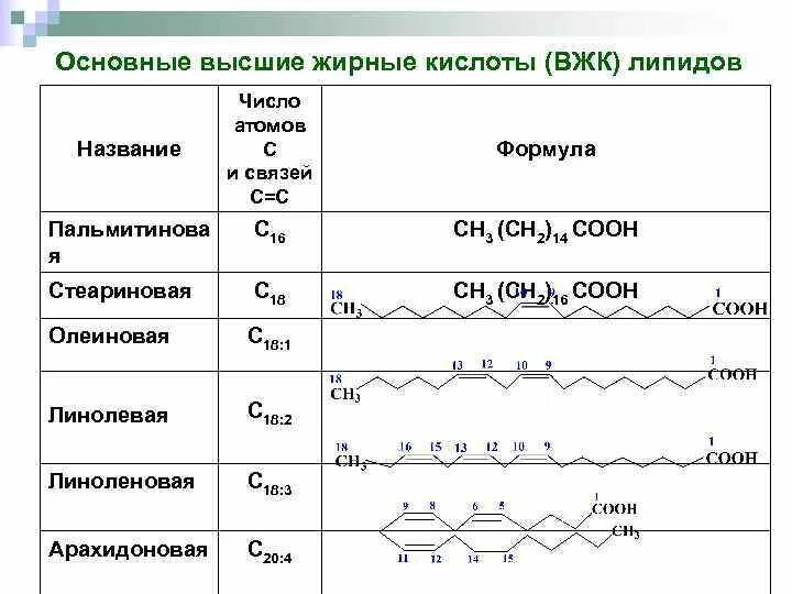 Радикалы жиров