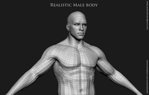Realistic Human male body Zbrush.