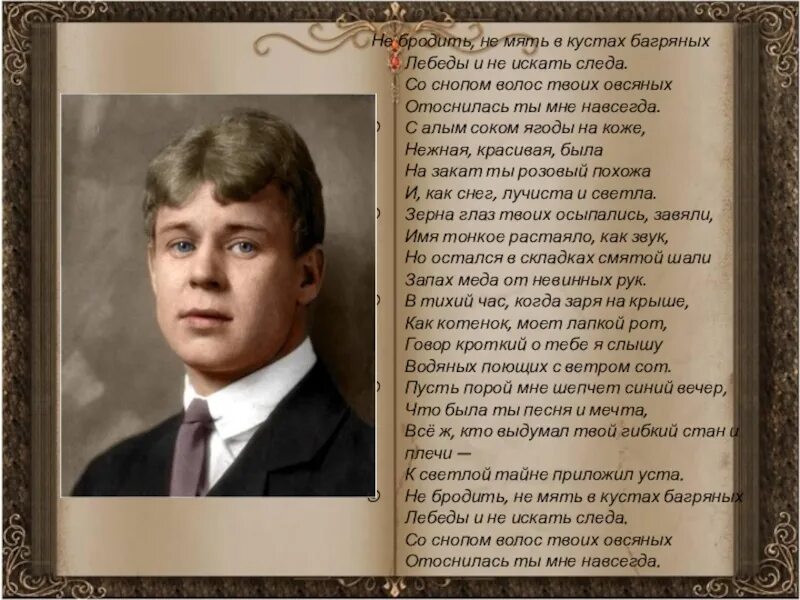 есенин не мять в кустах багряных. стихотворение есенина не бродить не мять. есенин про кусты. стихи есенина. стихотворение есенина не бродить не мять.