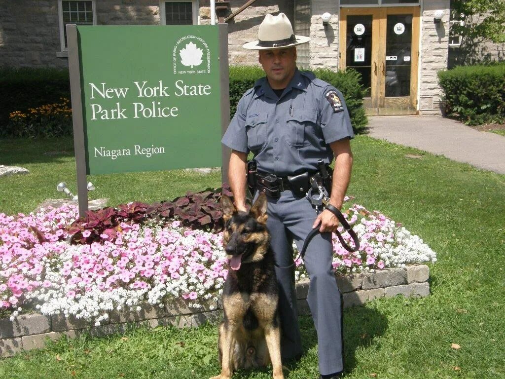 K9 Unit Park Ranger. K9 Unit Police. K-9 Unit. Полиция парков штата Нью-Йорк. Юнита сша