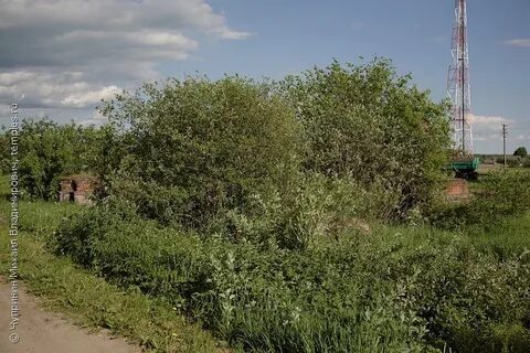 Богородск 4