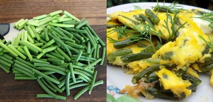 вредитель на стрелках чеснока. стрелы чеснока. чесночные стрелки от вредителей на огороде. чесночные стрелки от вредителей на огороде. стебель чеснока.