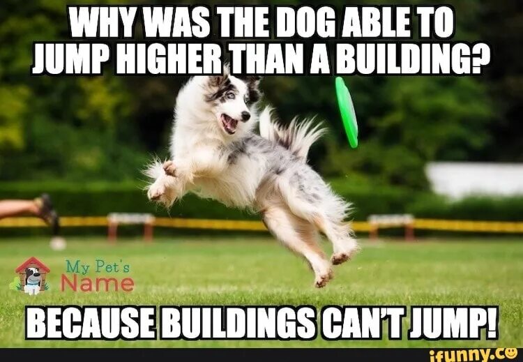 We build because