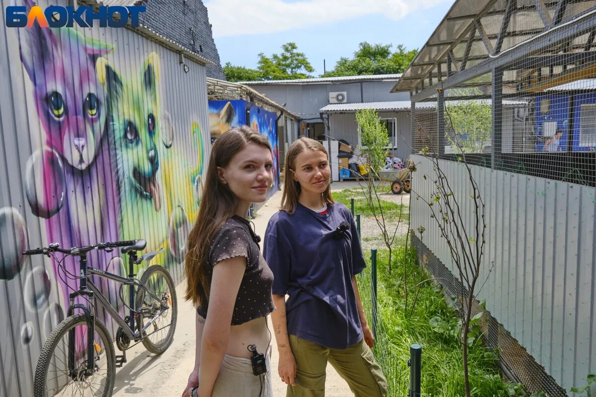Краснодар население. Люди в городе. Пешеходная улица краснодара. Хорошо ли жить в краснодаре. Население города краснодар.