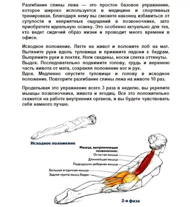 Упражнения для укрепления разгибателей спины. Мышца разгибающая позвоночник упражнения. Разгибатели поясничного отдела позвоночника. Мышцы разгибатели позвоночника упражнения.