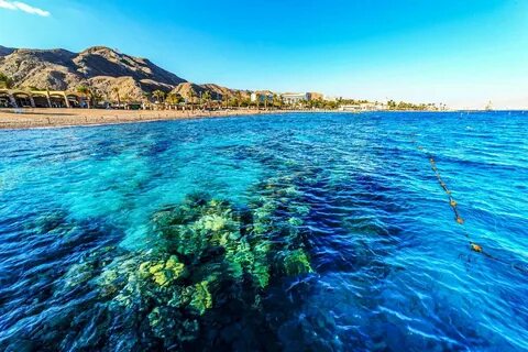 Порт на красном море 4 буквы
