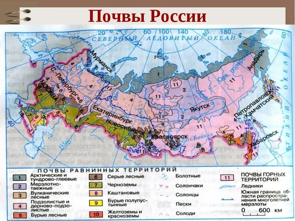 В каком из перечисленных природно хозяйственных