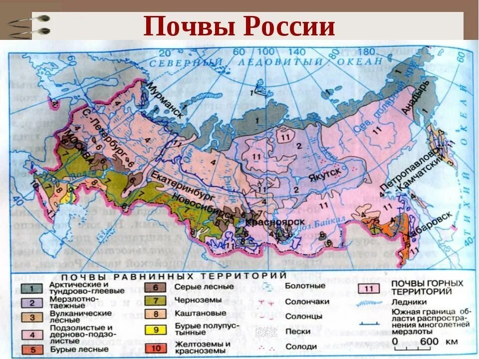 Перечислите природные зоны в порядке. Почвенные ресурсы России карта. Зональные типы почв России. Распространение почв в России. Типы почв на территории России карта.