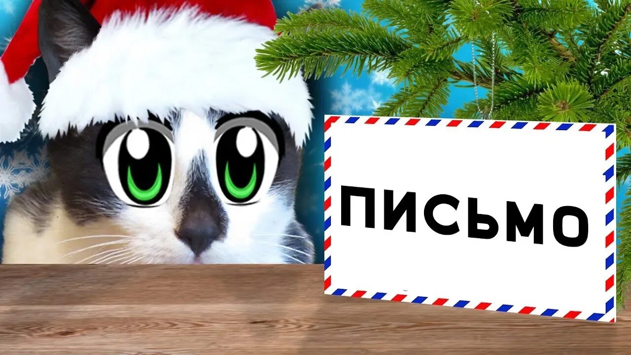 Где кот малыш. Анука давайка. котики анука давайка. кот малыш анука давайка. кошечка мурка анука давайка.