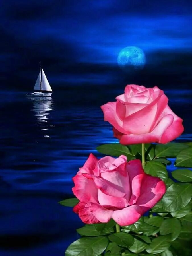 Спокойной ночи цветы. Доброй ночи цветы. Доброй спокойной ночи цветы. Спокойной ночи розы.