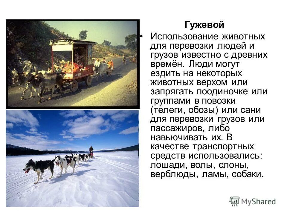 гужевой вид транспорта груза. презентация транспорт для дошкольников гужевой транспорт. линейка повозка. гужевая повозка пдд. гужевой транспорт.
