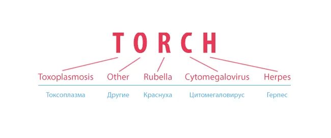 Torch комплекс. Torch инфекции. Профилактика торч инфекций. Торч комплекс. Инфекции Torch-комплекса что это.