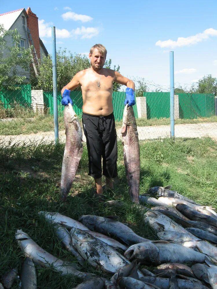 Платный пруд аряш. Аряш саратовская область. Платный пруд аряш. Платный пруд аряш. Пруд аряш саратовская область рыбалка.