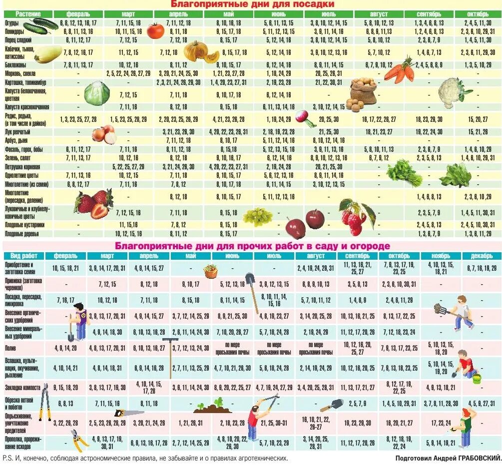 Благоприятные дни для посадки цветов. Благоприятные дни для посадки овощей. Благоприятные дни для пересадки растений. Благоприятные дни дляпосадкцвето.