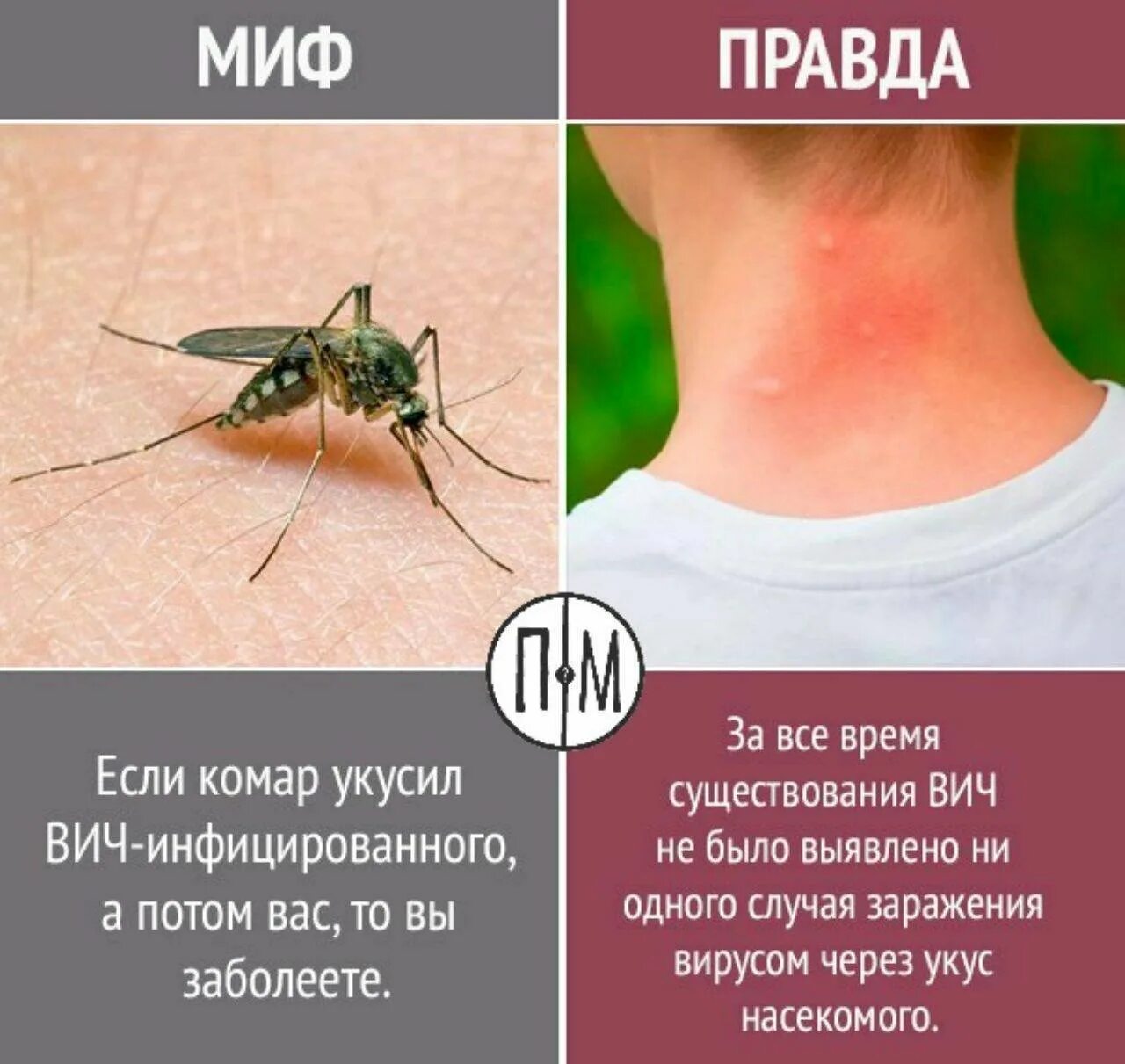 Сколько нужно укусов