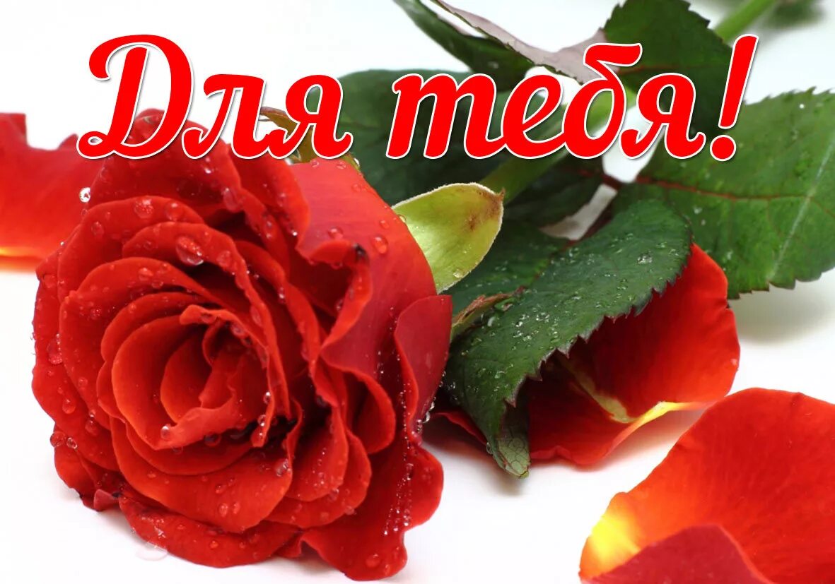Красивые комплименты девушке. Красивые комплименты. Открытка девушке. Открытки с комплиментами девушке.