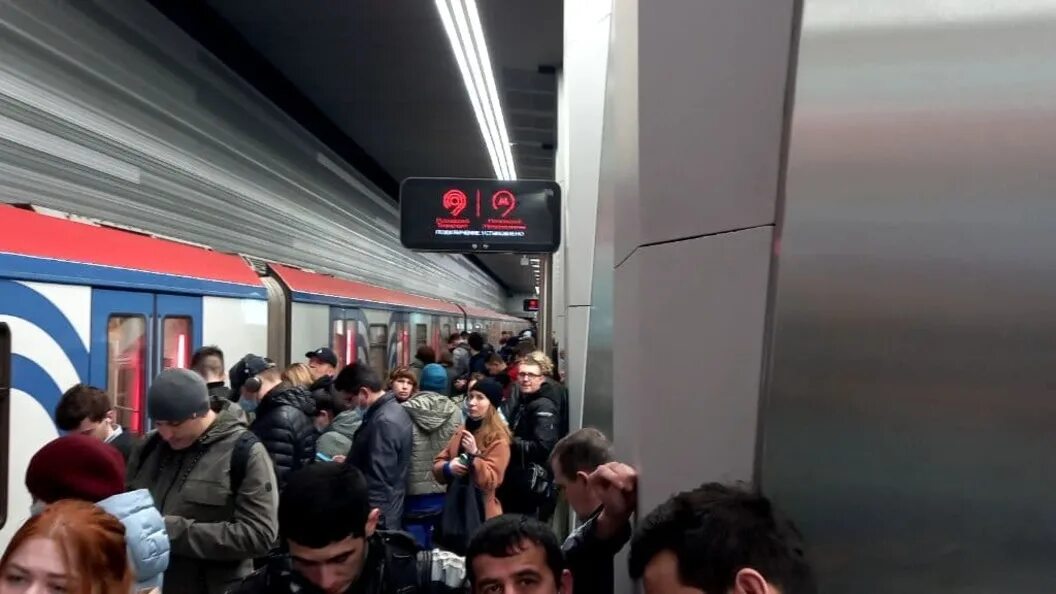 Японцы пристают в транспорте. Переполненная электричка. Фотосессия в метро. Серая ветка метро. Поезд москва 2024 в московском метрополитене.