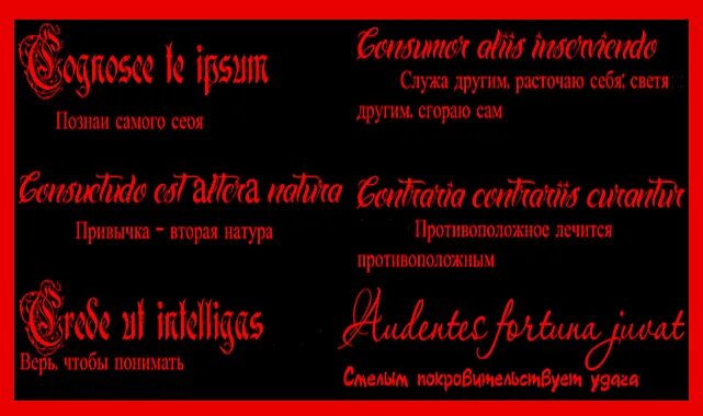 Цитаты на латыни о любви. Латинские крылатые выражения о любви. латинские фразы о любви. крылатые фразы на латыни о любви.