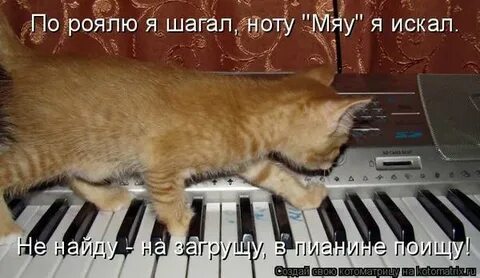 Тут ж